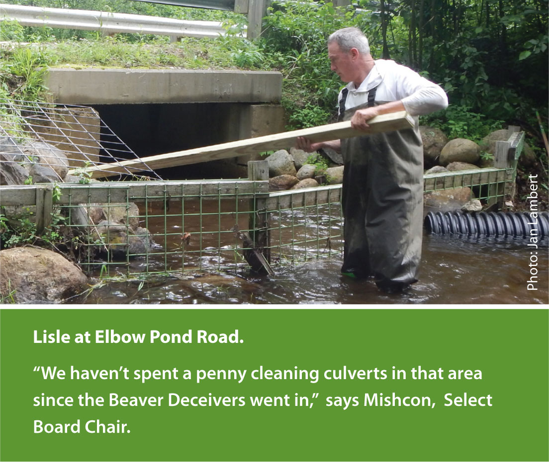 Home Beaver Deceivers