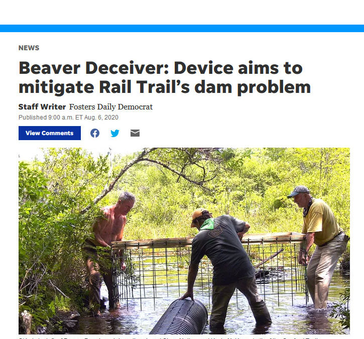 Beaver Deceiver: Device aims to mitigate Rail Trail’s dam problem
