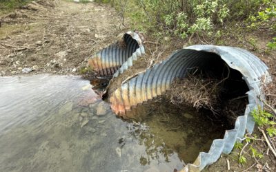 Removing Beaver Dams from Culverts